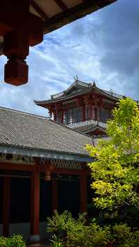 快速了解大理，先來大理州博物館
