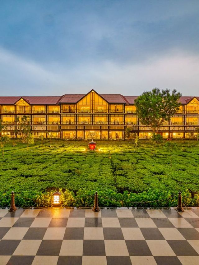 🌟 Darjeeling Delights: Mayfair Tea Resort Review 🌿✨