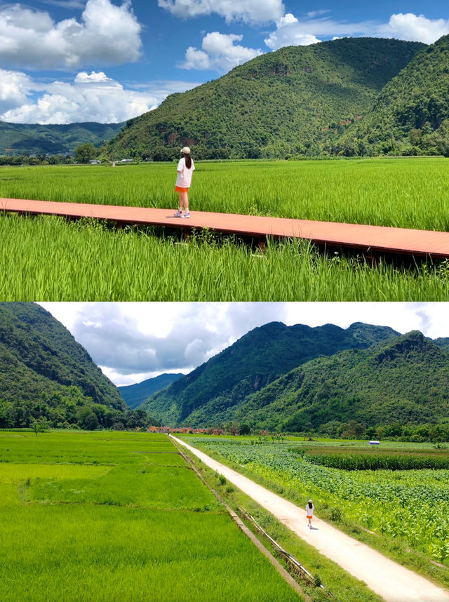 雲南夏日遊，芒見，再忙也要相見