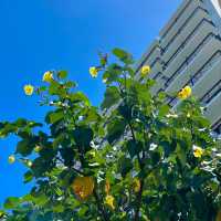 「沖繩Southern Beach Hotel & Resort：位置優越海景無敵」