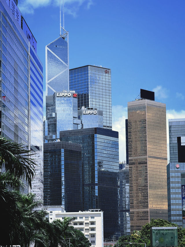 從香港剛回來 暑假遛娃游看這裡