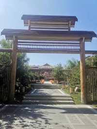 保定涞源夏日家庭之旅3：最愛白樺林溫泉谷