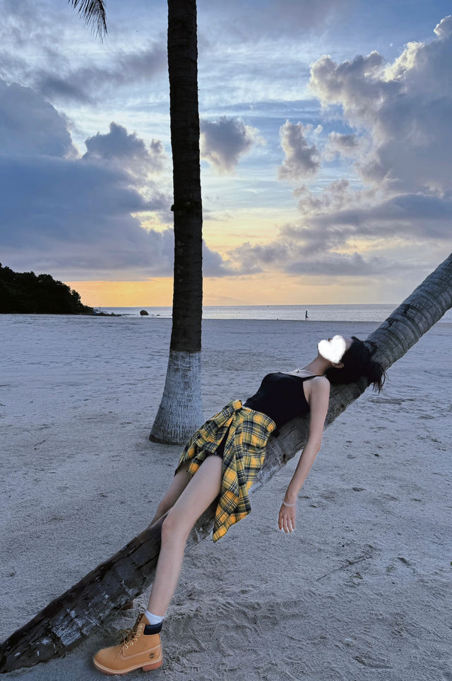 珠海 小眾沙灘椰樹 巨出片