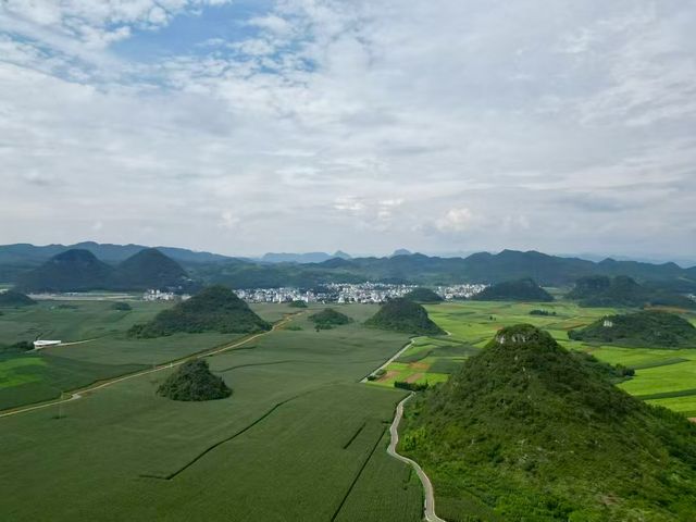 羅平金雞峰叢