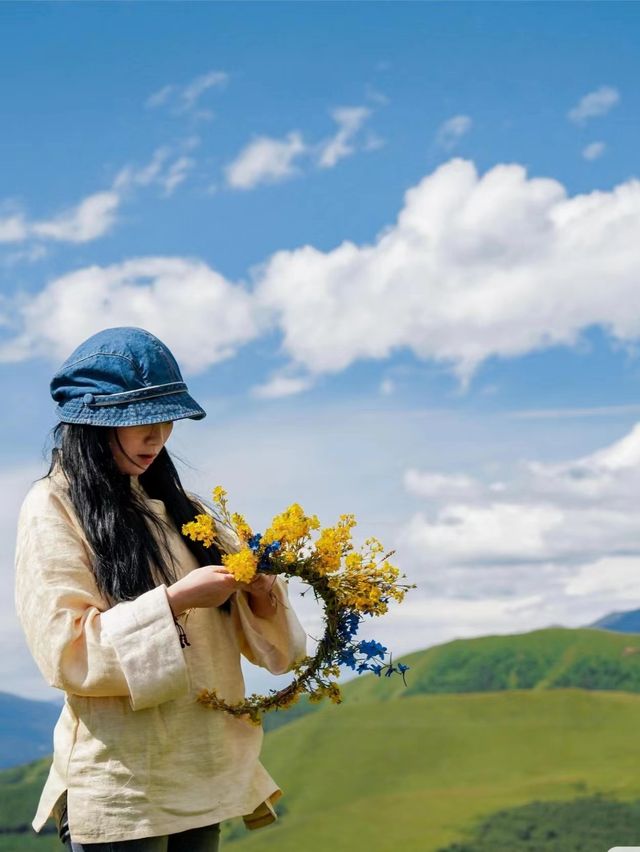 我宣布:這裡就是川西夏秋最美的草原!