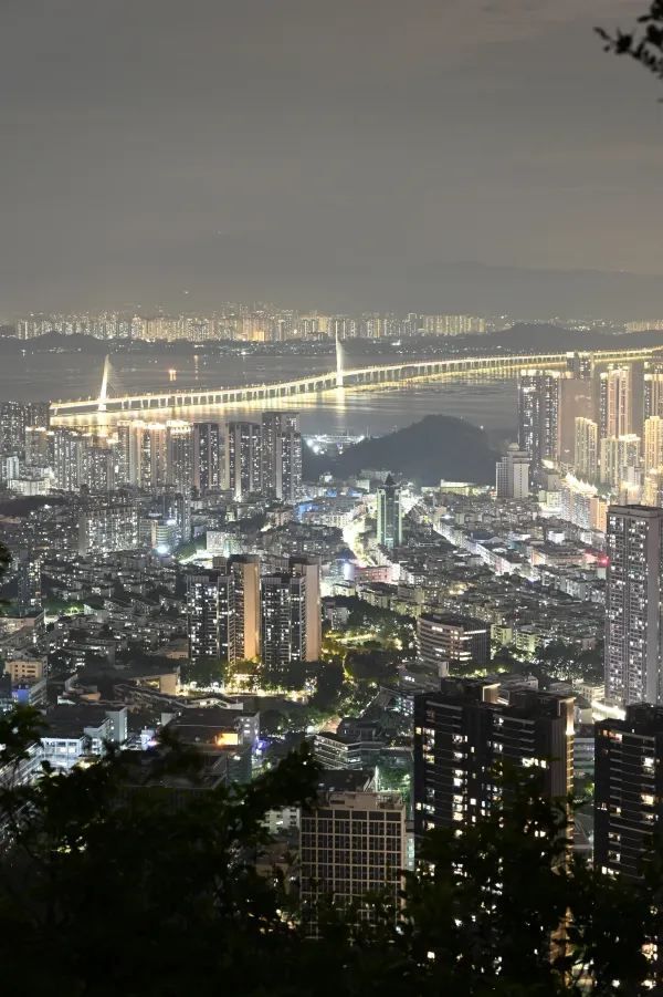 愛樂之城深圳｜南山公園夜景打卡攻略🌃