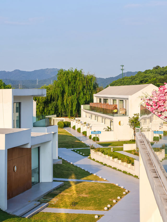 杭州．龍坞茶山|住進茶園的城堡 避暑療癒 吸氧吧。