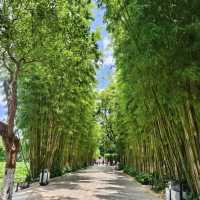 【雲南省/翠湖公園】自然を感じよう！