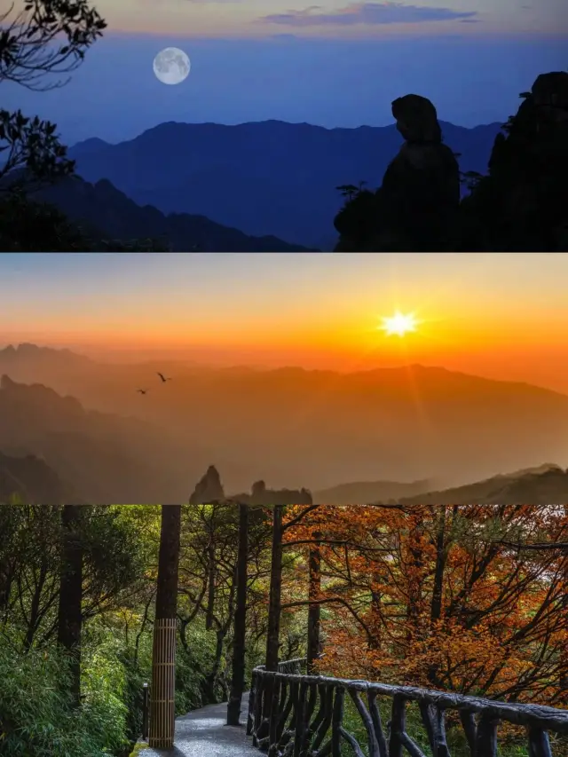 【คู่มือสำหรับการท่องเที่ยวแบบจุ่มลงไปในภูเขาซานชิงซาน】 ชมใบไม้เปลี่ยนสี พระอาทิตย์ขึ้น และพระจันทร์เต็มดวง