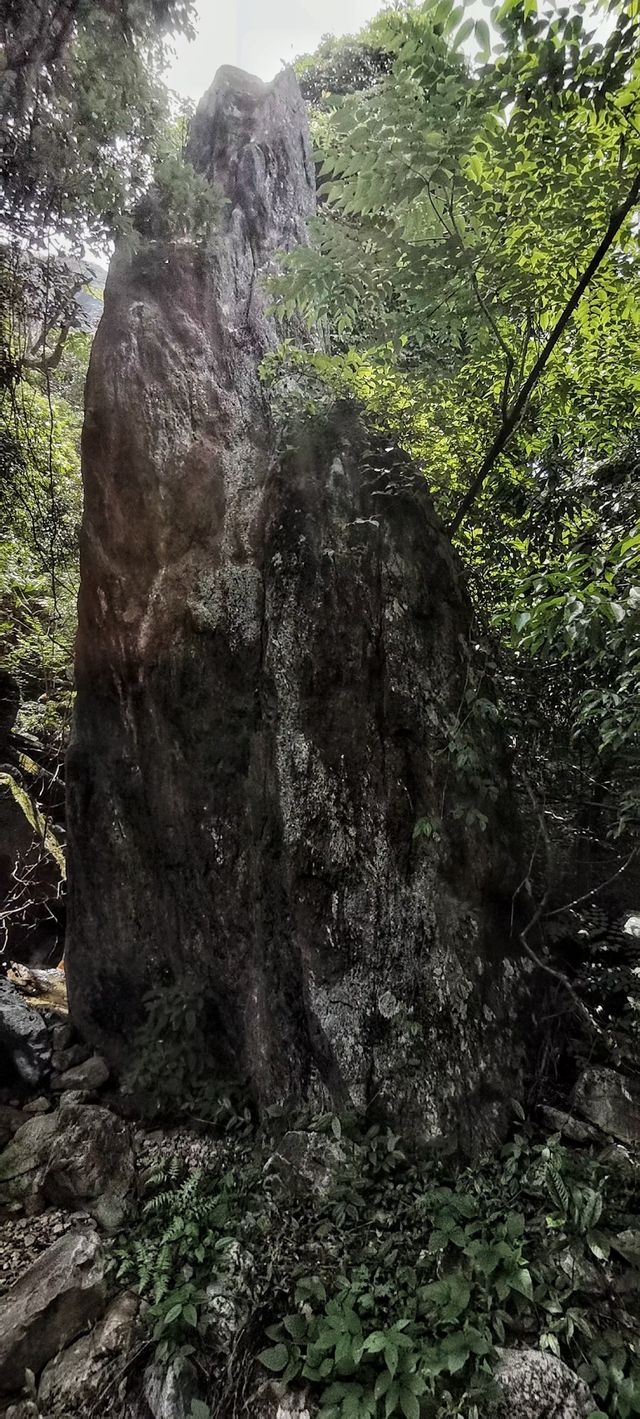 秋風吹起，讓我們踏上三千八百坎這條古道，展開一場三千八百級的秋日徒步之旅。