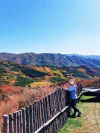 翠雲山森林公園嘅秋天，真係太靚啦！