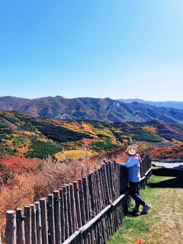 翠雲山森林公園嘅秋天，真係太靚啦！