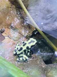 波士頓景點 | 新英格蘭水族館。