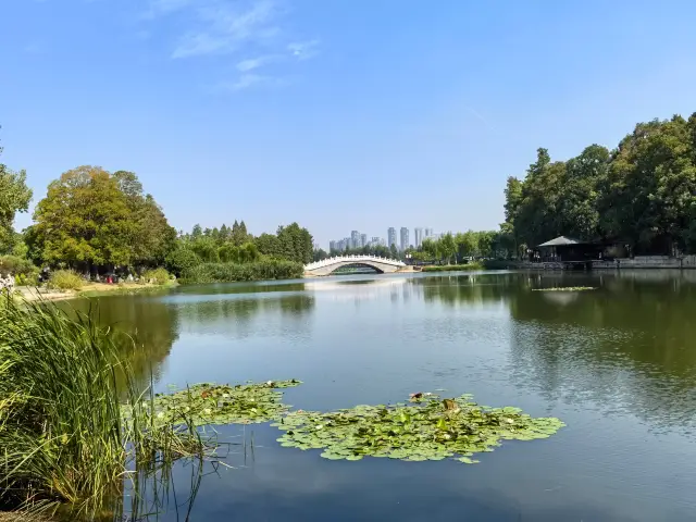 Donghu Park.