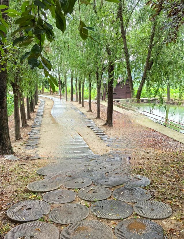 台兒莊運河國家濕地公園：水鄉之韻，生態之源。