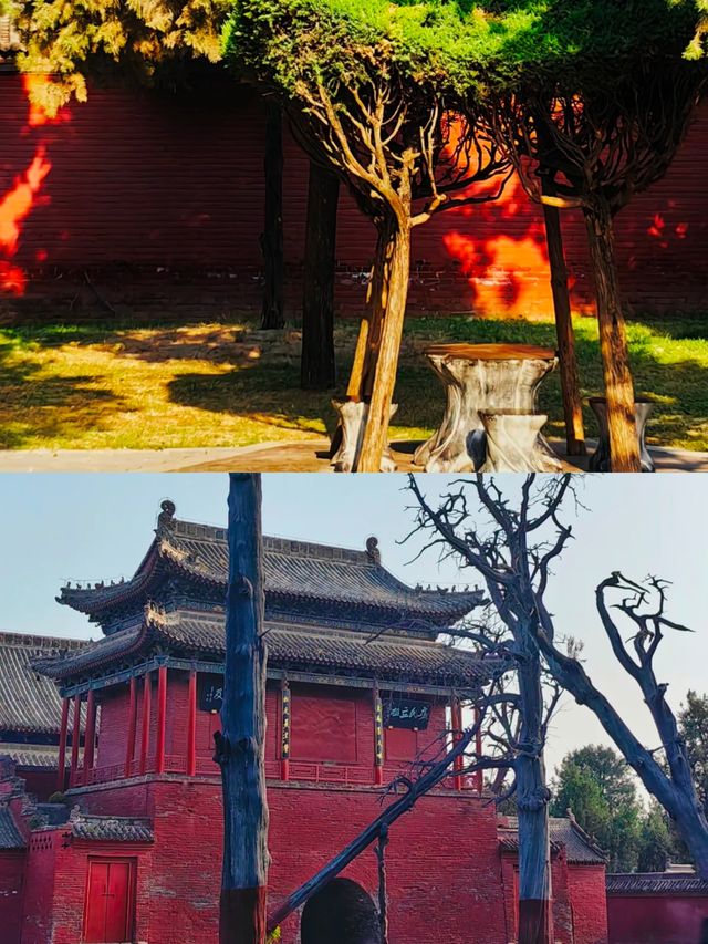 淮陽太昊陵。