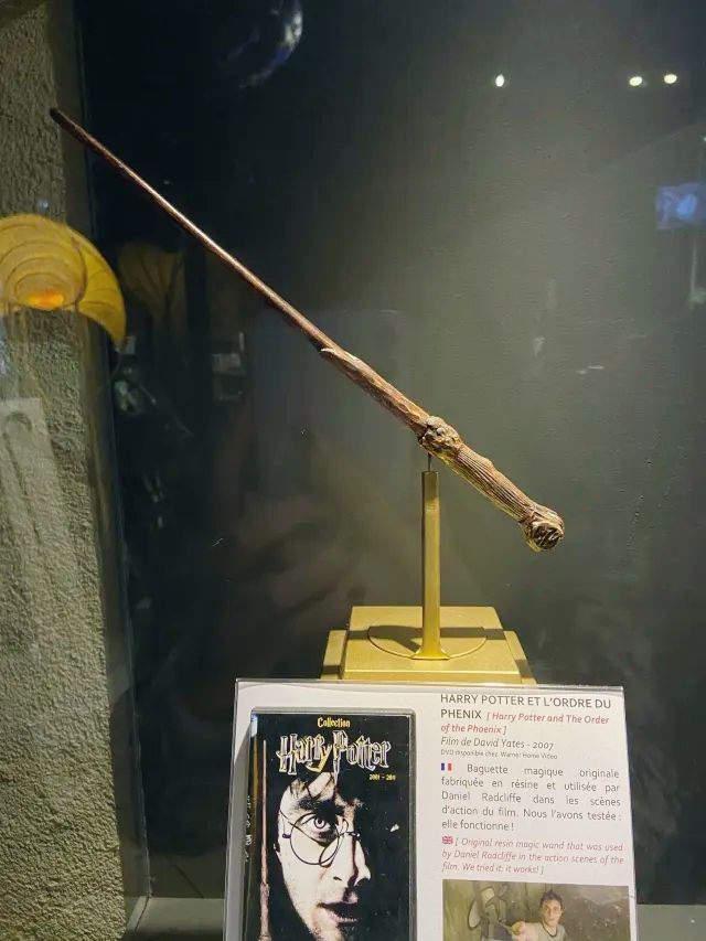 法國里昂國際微縮電影藝術博物館。