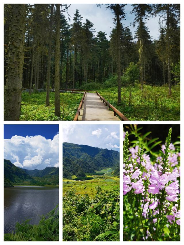 大瓦山  徒步登山，遇見不一樣的自己。