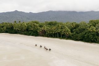 「オーストラリアで、私は馬と同じように自由です」。