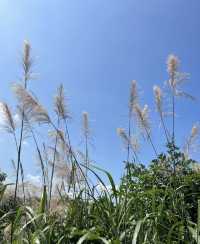 池州太湖小眾寶藏地，你去過嗎？