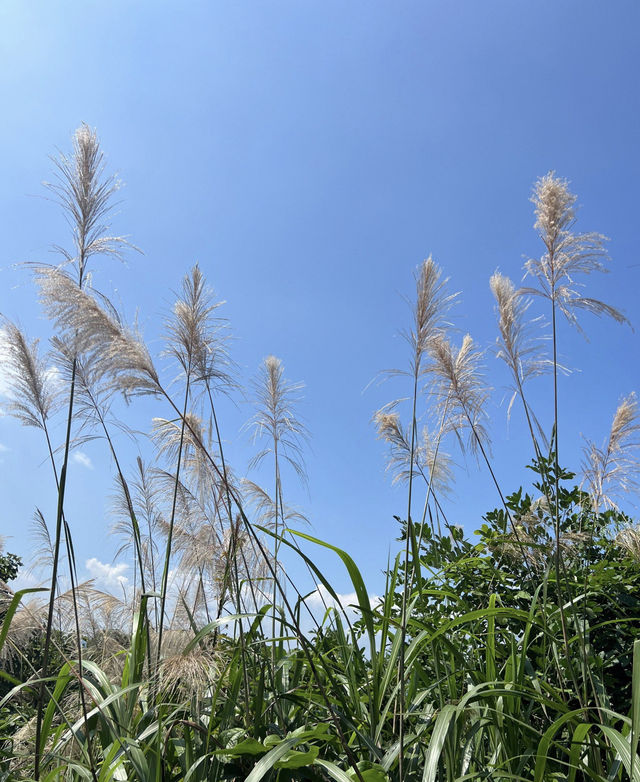 池州太湖小眾寶藏地，你去過嗎？