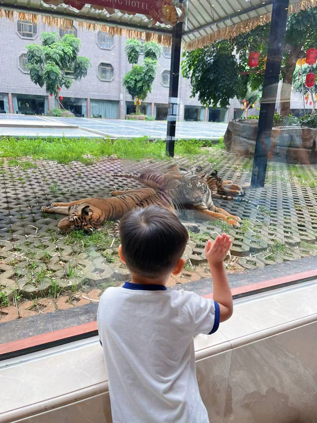 廣西桂林｜平南熱門景點 小眾出遊路線。