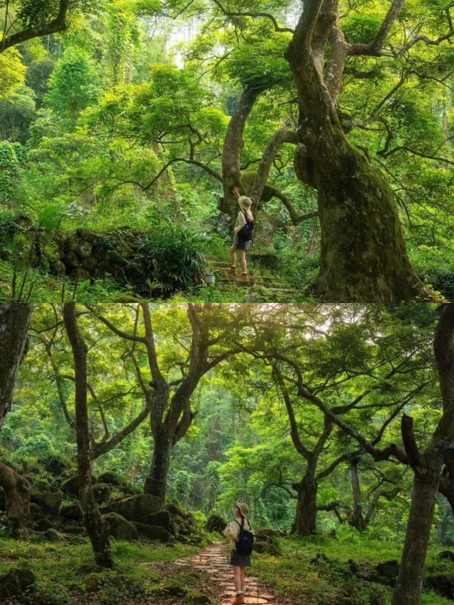 不藏了！魔幻森林遛娃拍照封神了。