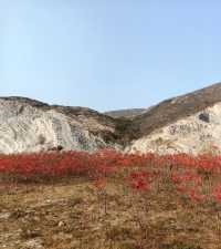 荒野紅葉，異星礦場。