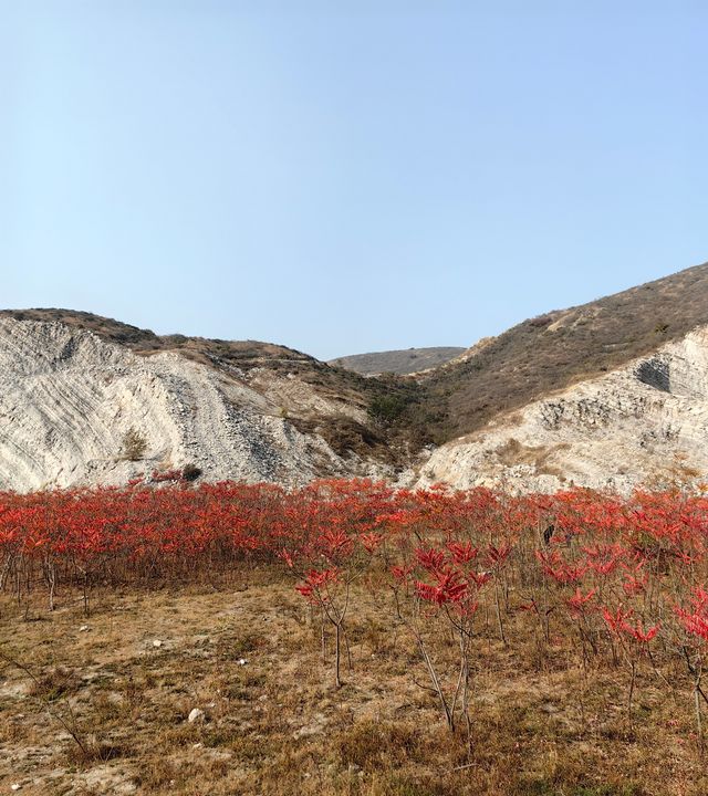 荒野紅葉，異星礦場。