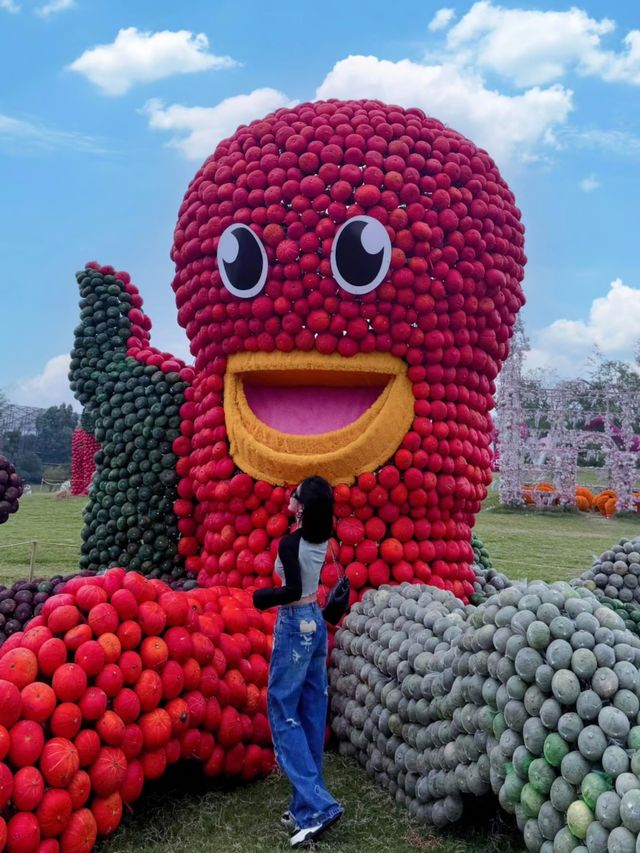 遛娃神器丨誤入南瓜園      合肥。