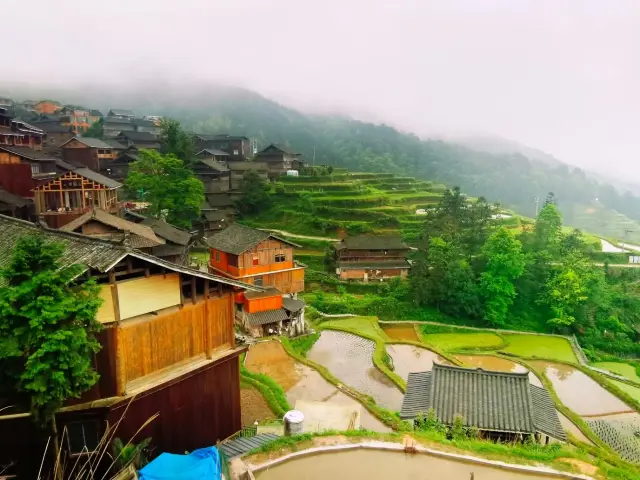 Guizhou, Liping, Tang'an Rice Terraces.