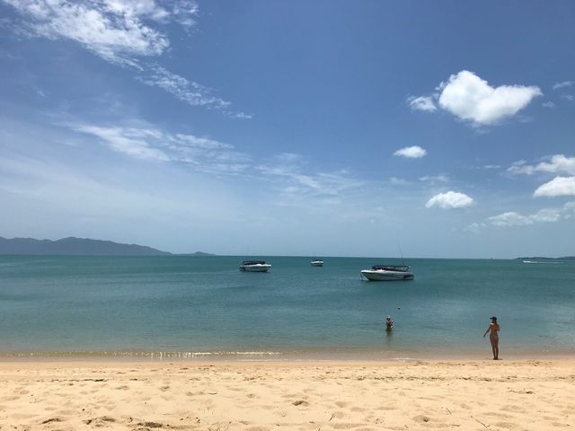 棕櫚椰子海灘度假村，安享熱帶天堂。
