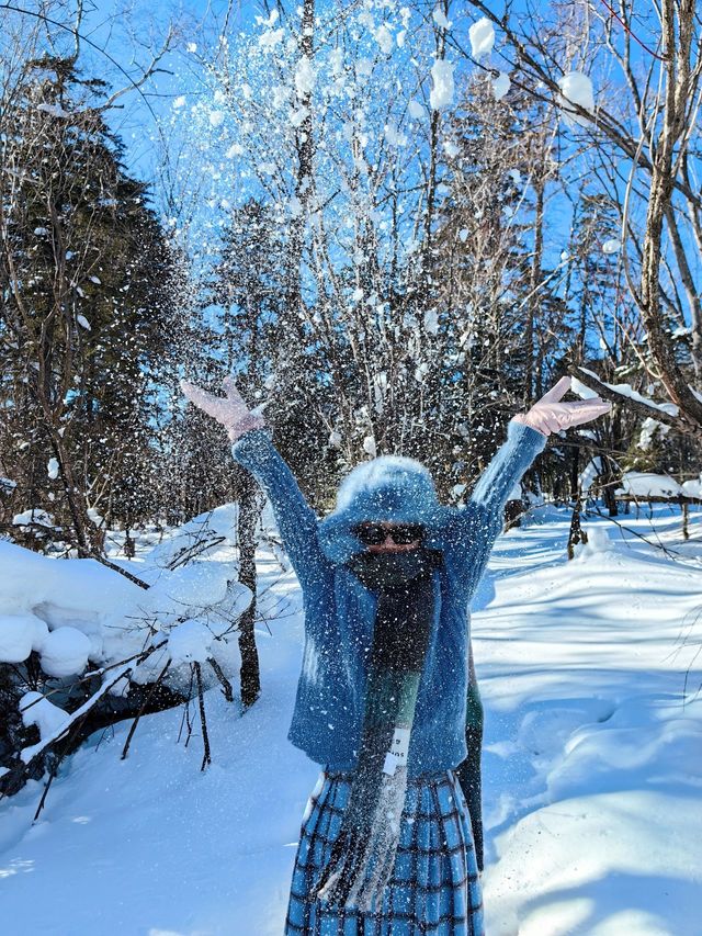 國內冰天雪地的天花板－太美啦啦啦啦！。