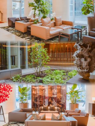 Cảm hứng du lịch mùa thu Canada | Khuyến nghị về khách sạn tại trung tâm thành phố Vancouver