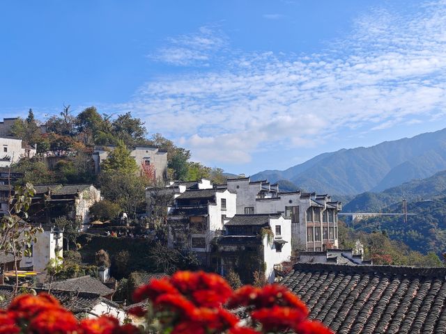 儀式感滿滿的晒秋。