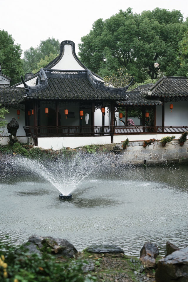 上海1%人才知道的古典園林賞菊好去處！。