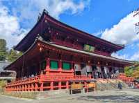 Travel Experience to Nikko's Toshogu Shrine on November 3rd