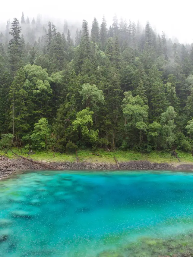 Longnan-Gannan-Tianshui 6-Day Tour: A Detailed Guide to Three Destinations. 