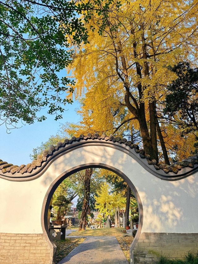 成都好逛的百花潭公園｜山水園林和城市錦繡的寫意。