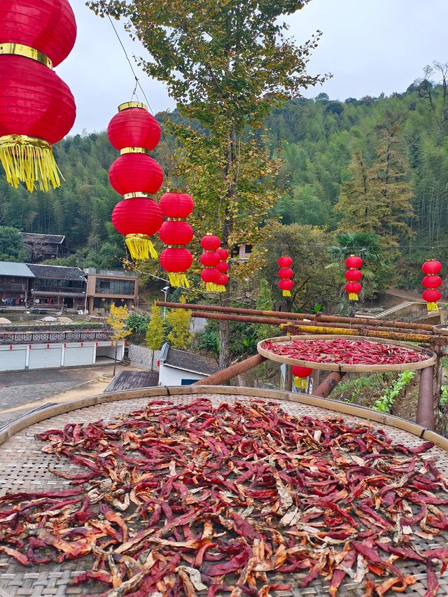順昌天台山賞秋。