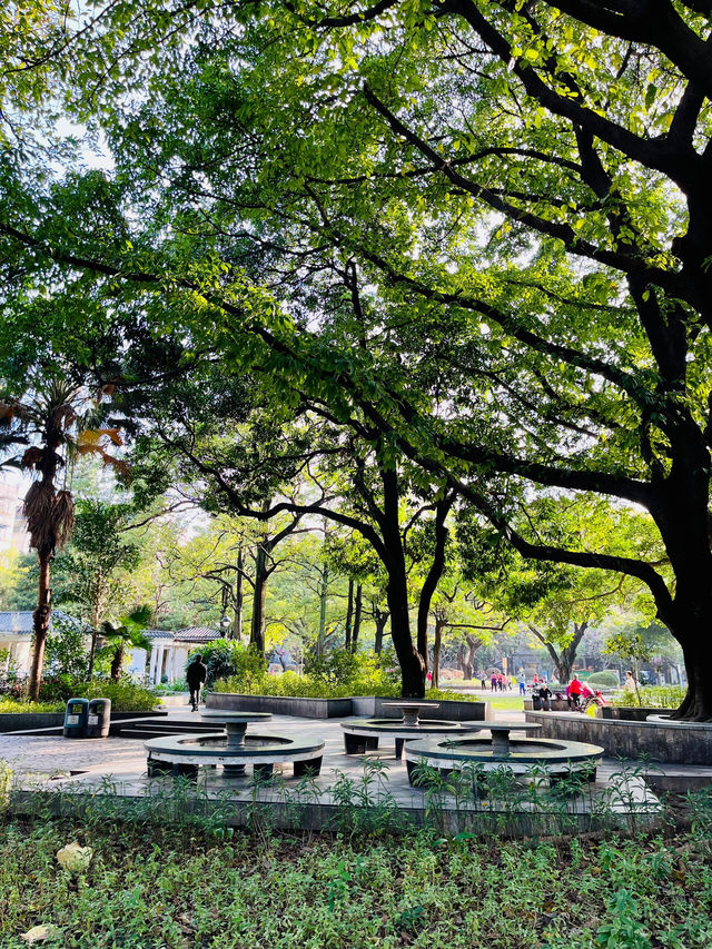漫步自在時光 |  | 佛山垂虹公園。 漫步自在時光 |  | 佛山垂虹公園。
