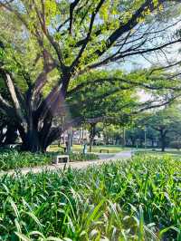 漫步自在時光 |  | 佛山垂虹公園。
