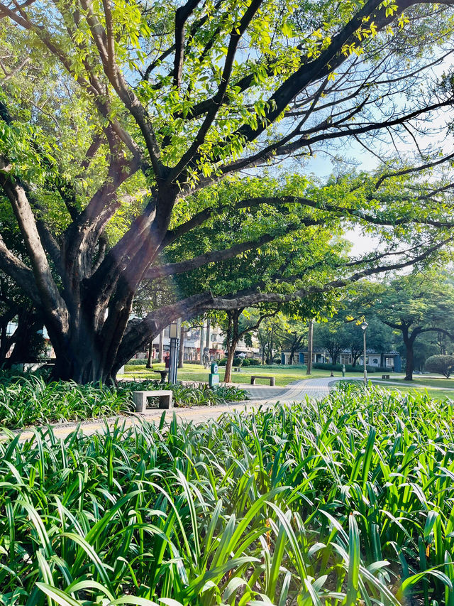 漫步自在時光 |  | 佛山垂虹公園。 漫步自在時光 |  | 佛山垂虹公園。