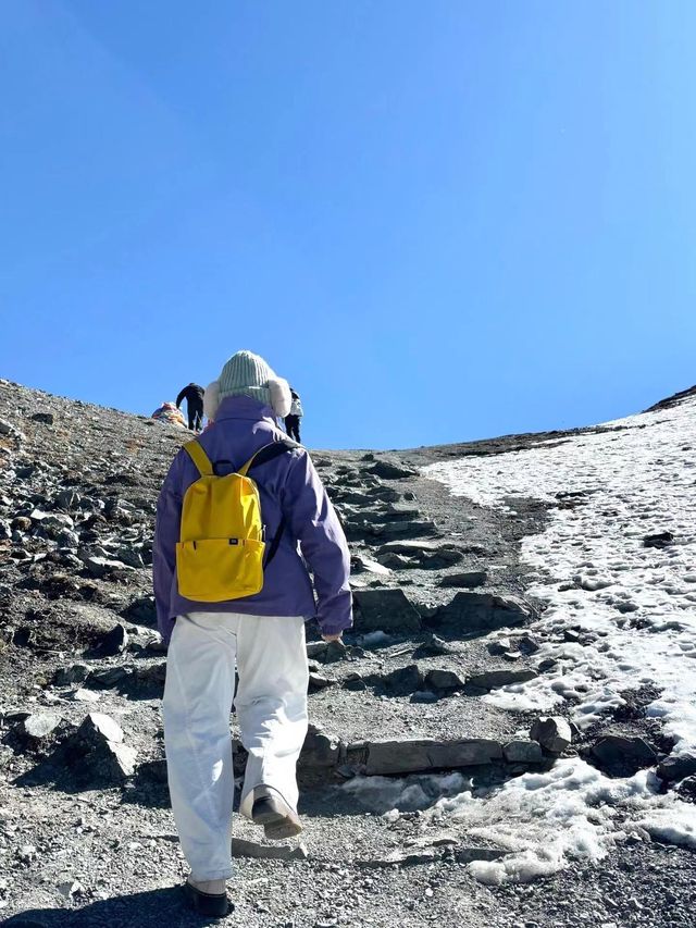 11月25日川西直播實況，已回來，豪賭成功！