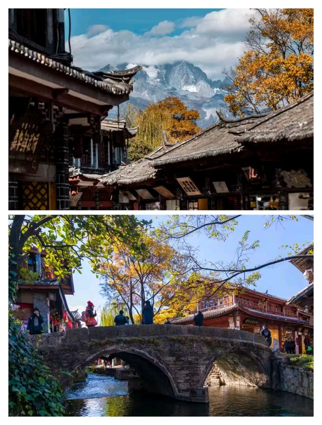 麗江這個民宿也太美了吧！