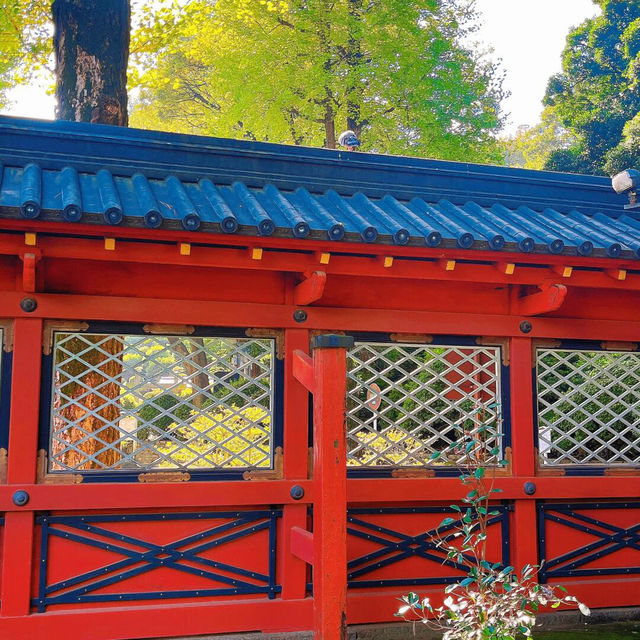 東京 citywalk - 根津神社