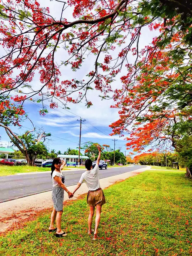 Scuba Diving in Guam: Discover the Magical Underwater World