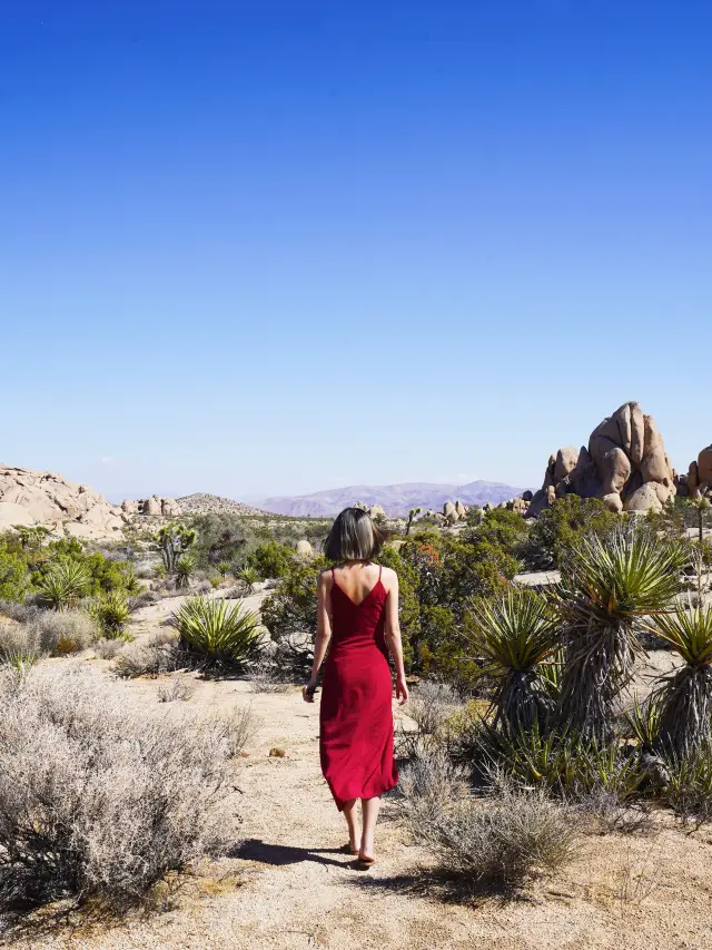 In the desert, I have the whole Joshua Tree...