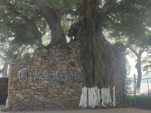 同沙生態公園 熱辣滾燙取景地