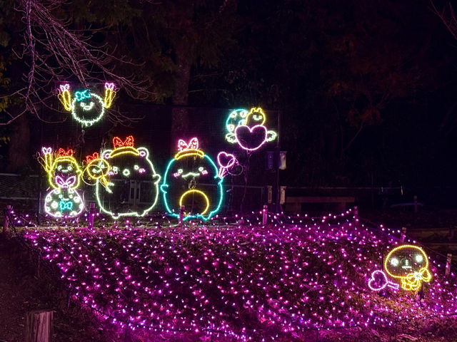 Japan's Sagamiko Sumikko Gurashi Light Show!